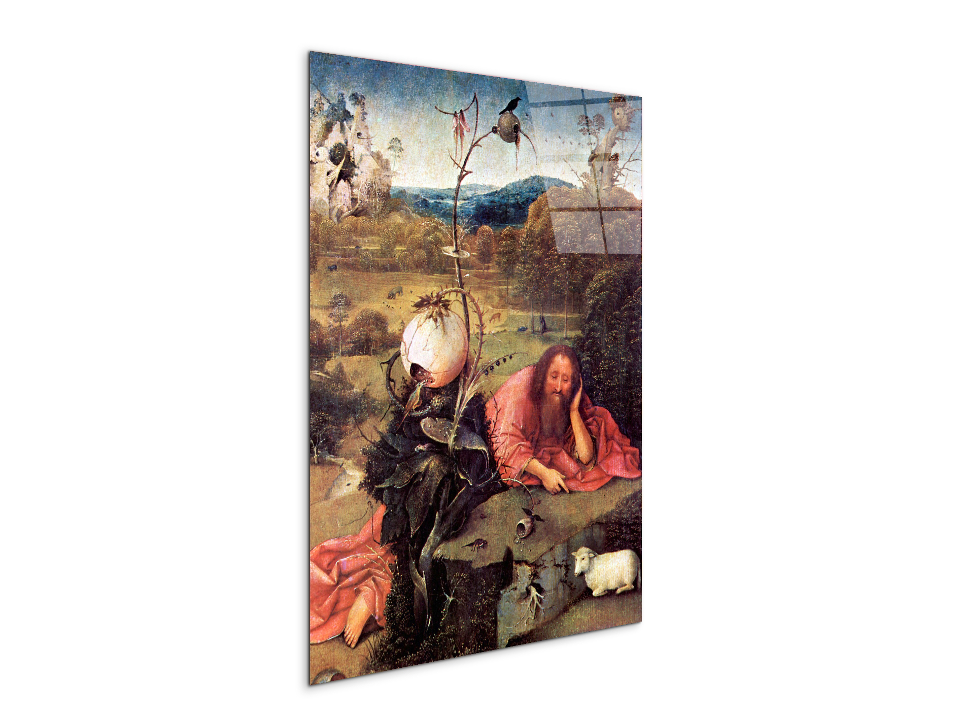 meditator-st-john-the-baptistas93157-#materiale_CrystalArt/dimensioni_57x76