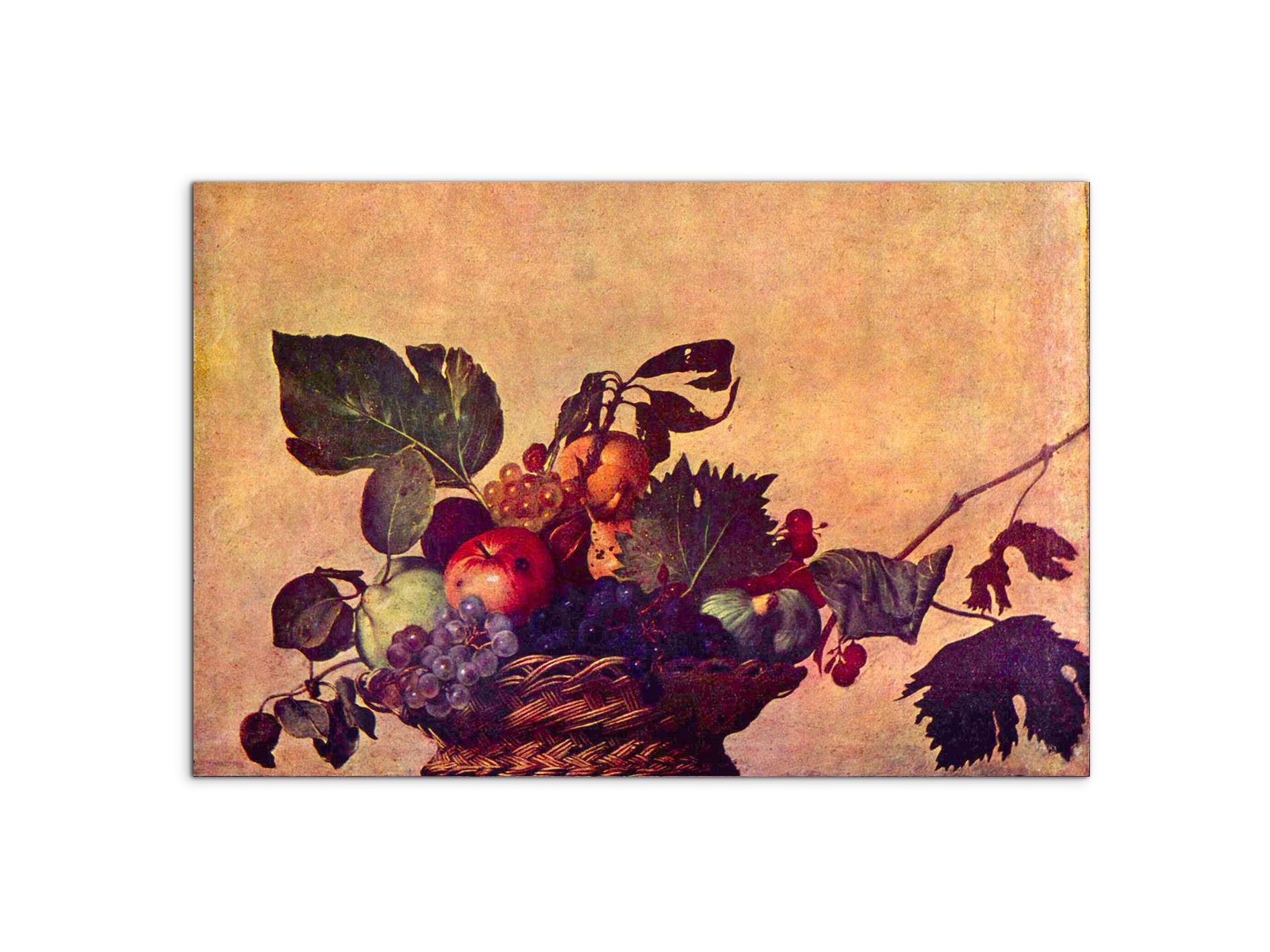 the-fruit-basketas93267-
