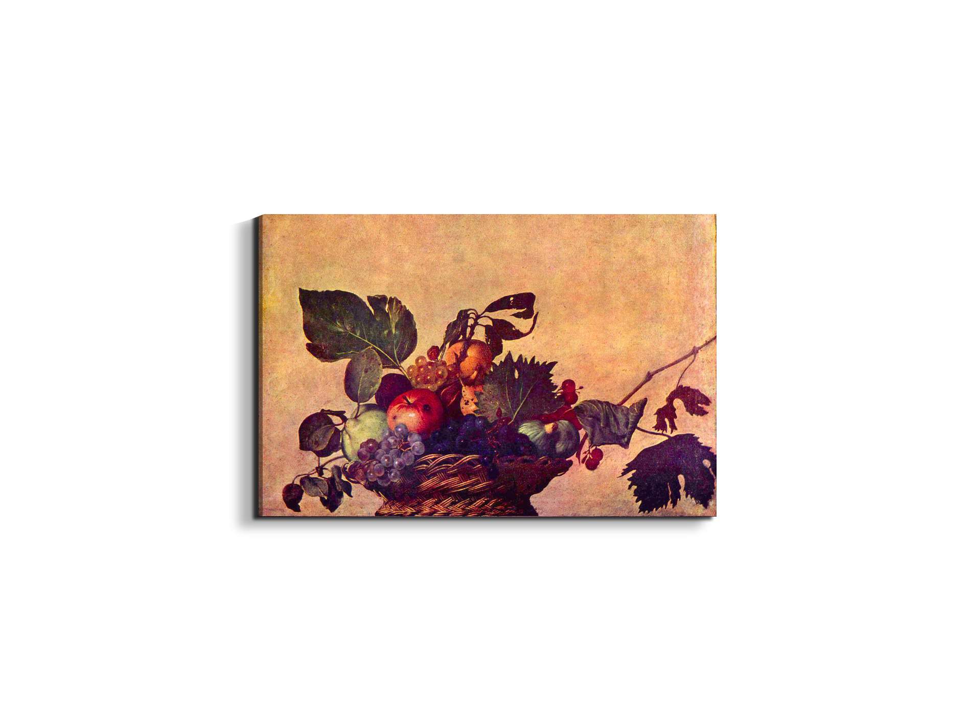the-fruit-basketas93267-