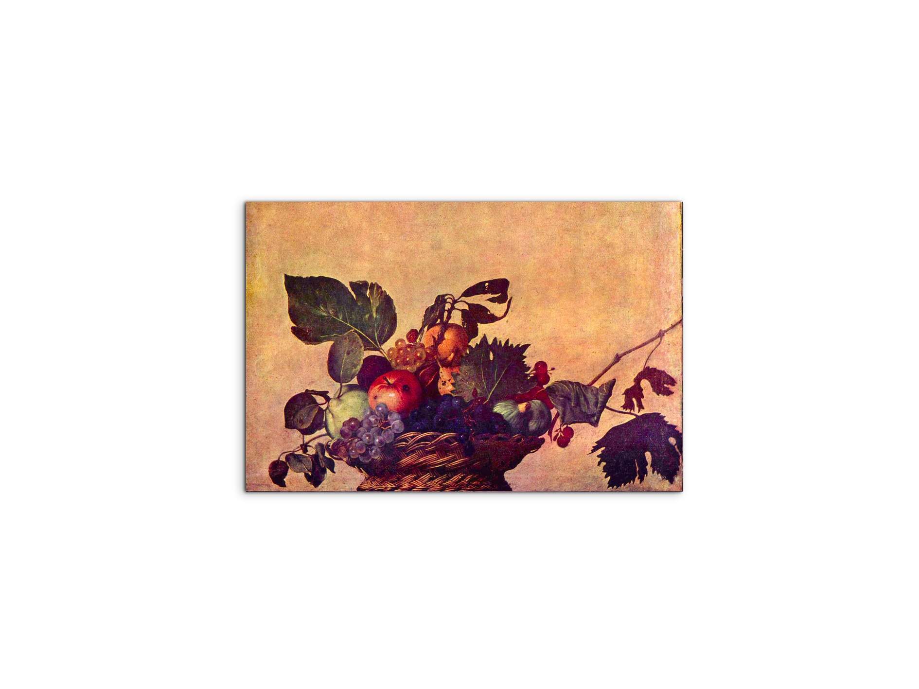 the-fruit-basketas93267-