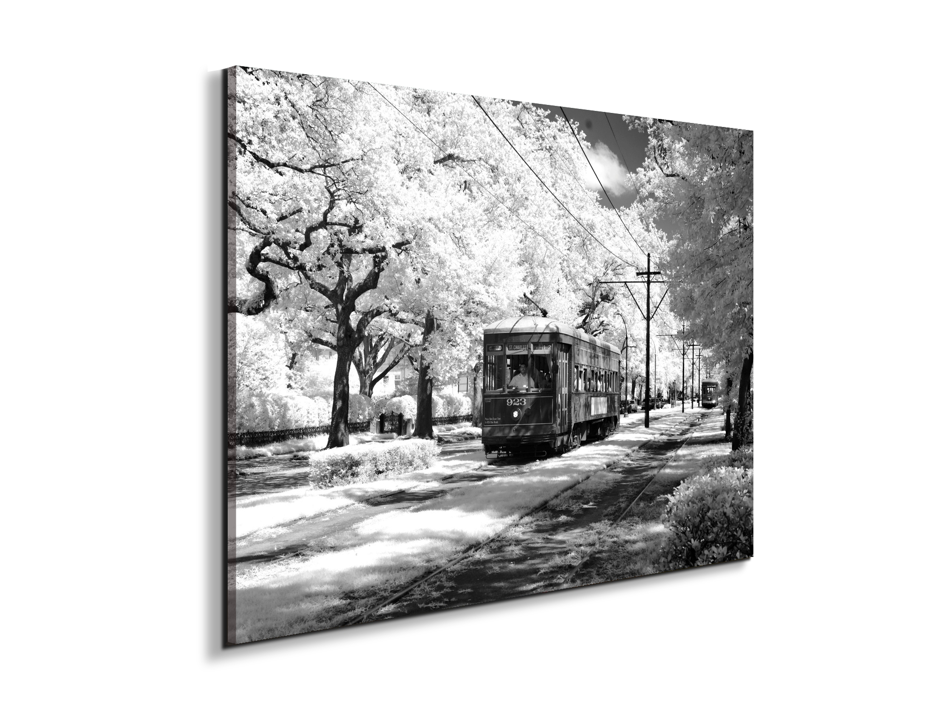 tramas93329-