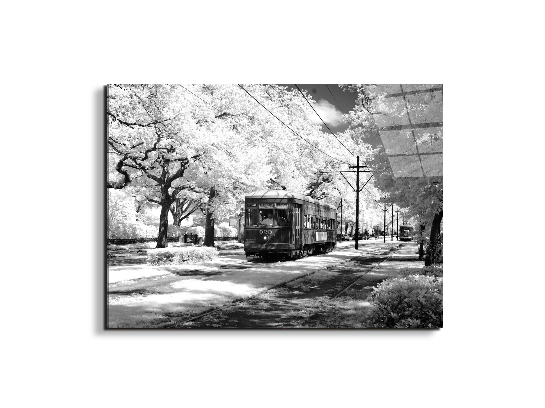 tramas93329-
