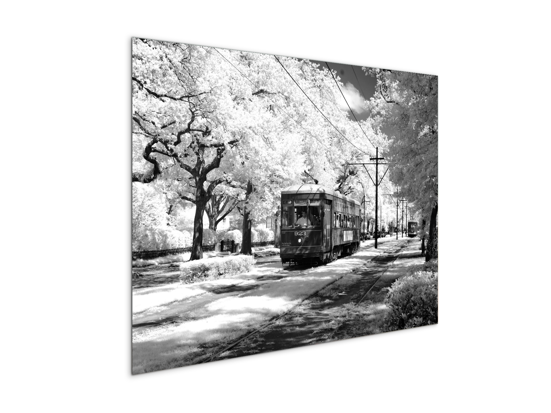 tramas93329-