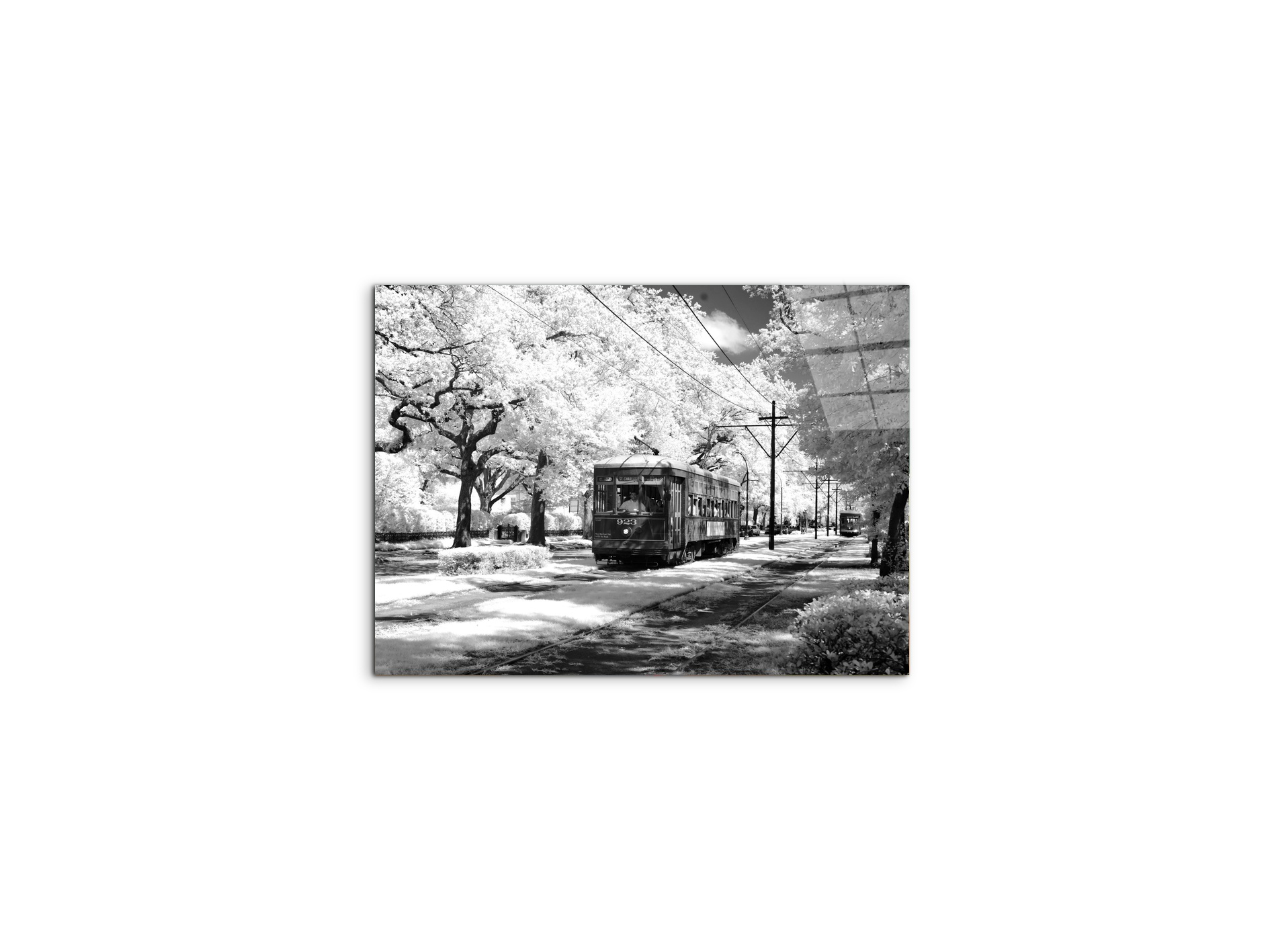 tramas93329-