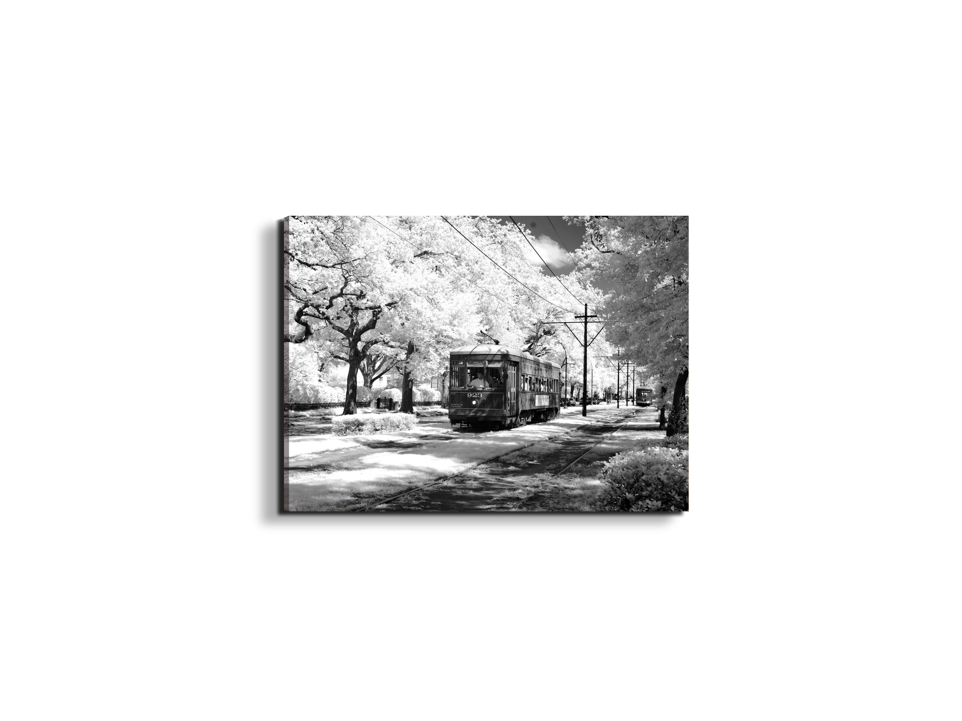 tramas93329-