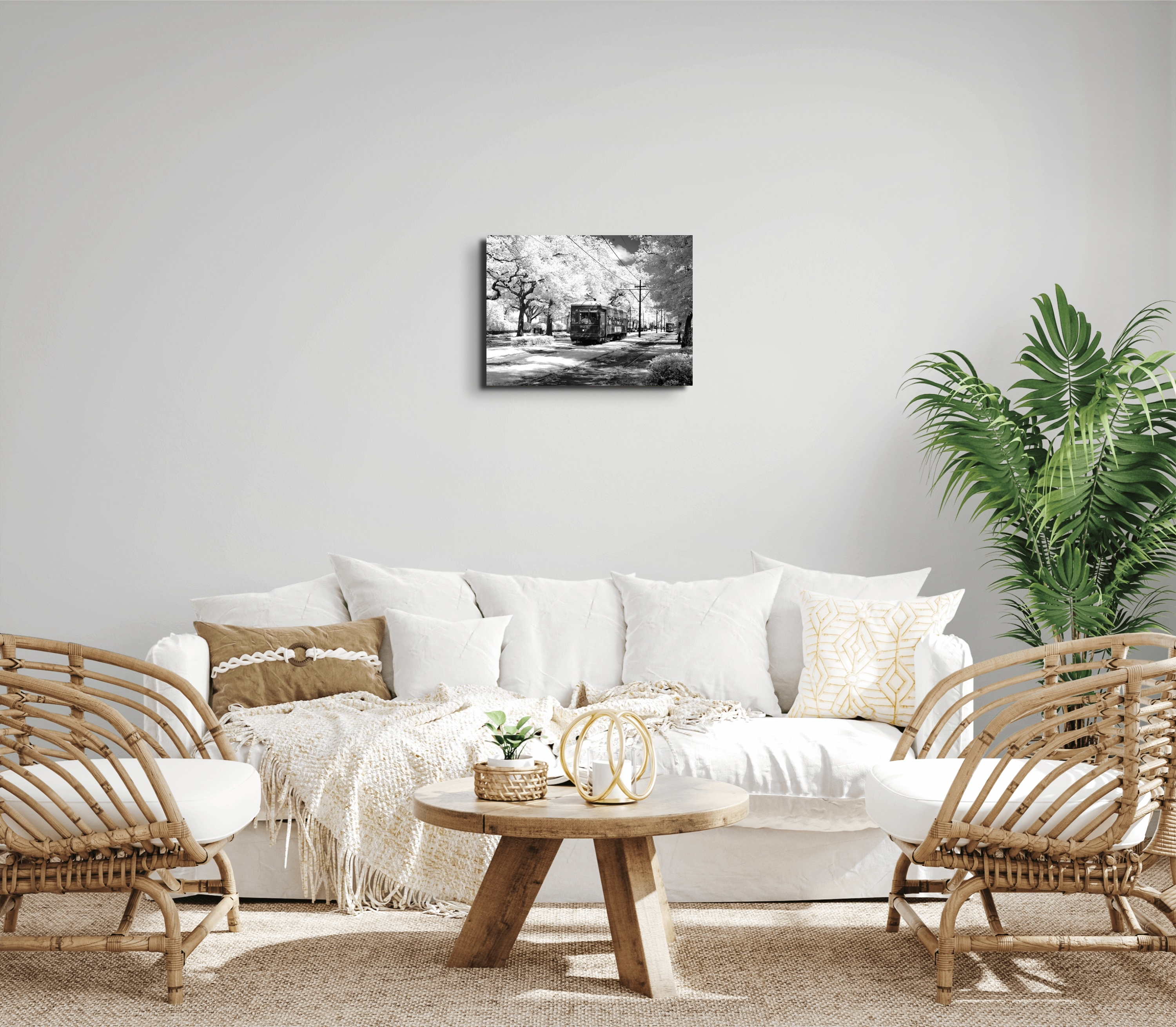 tramas93329-