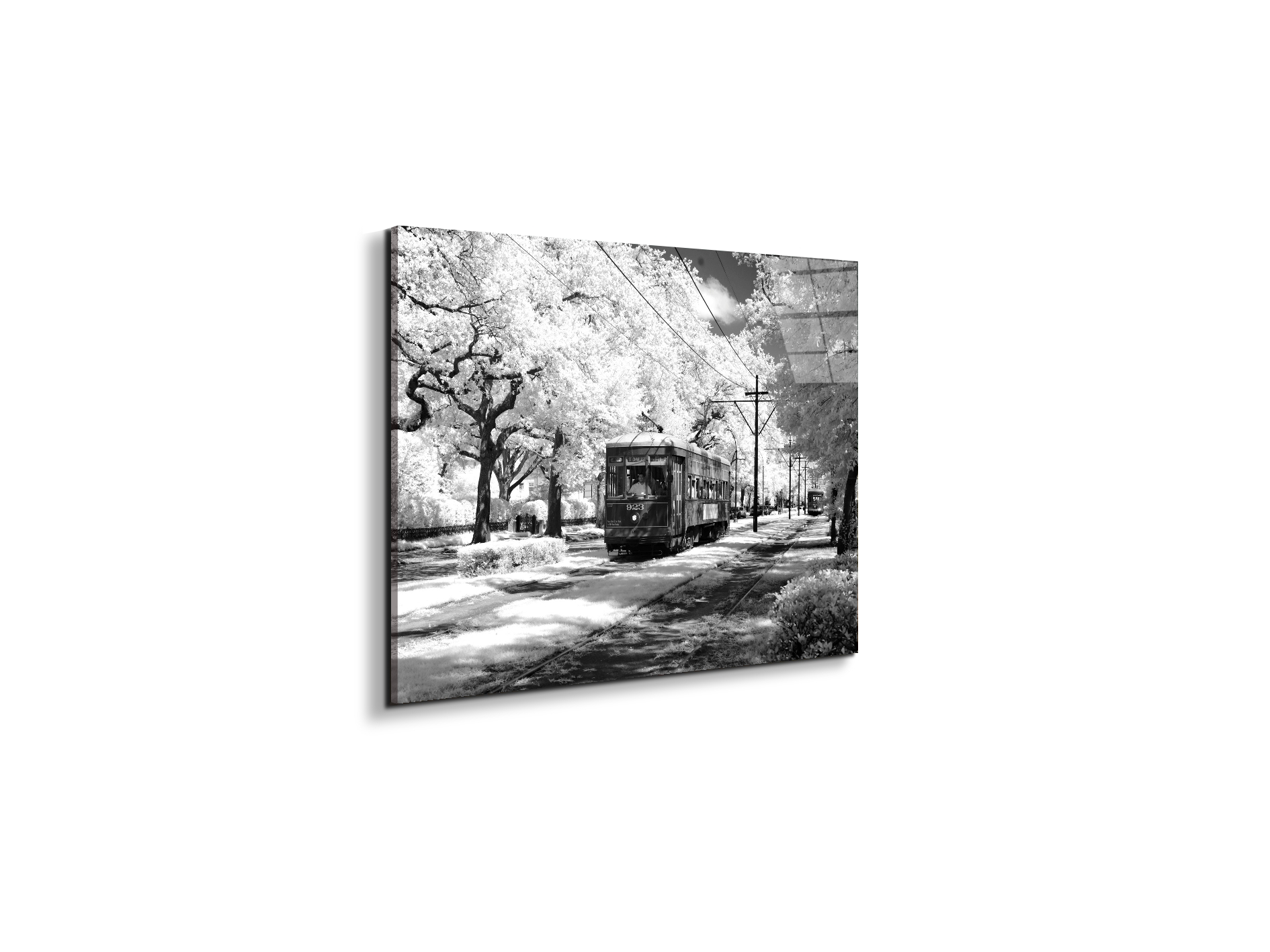 tramas93329-