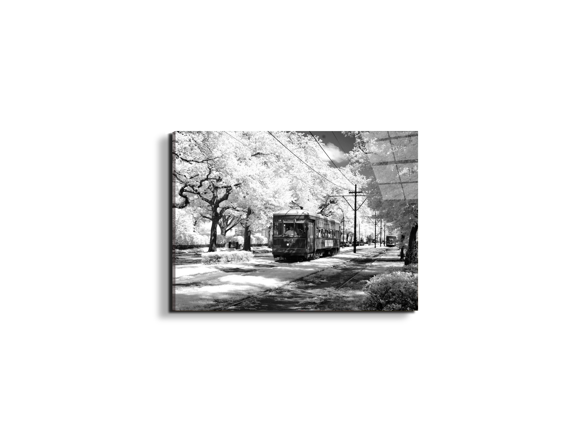 tramas93329-