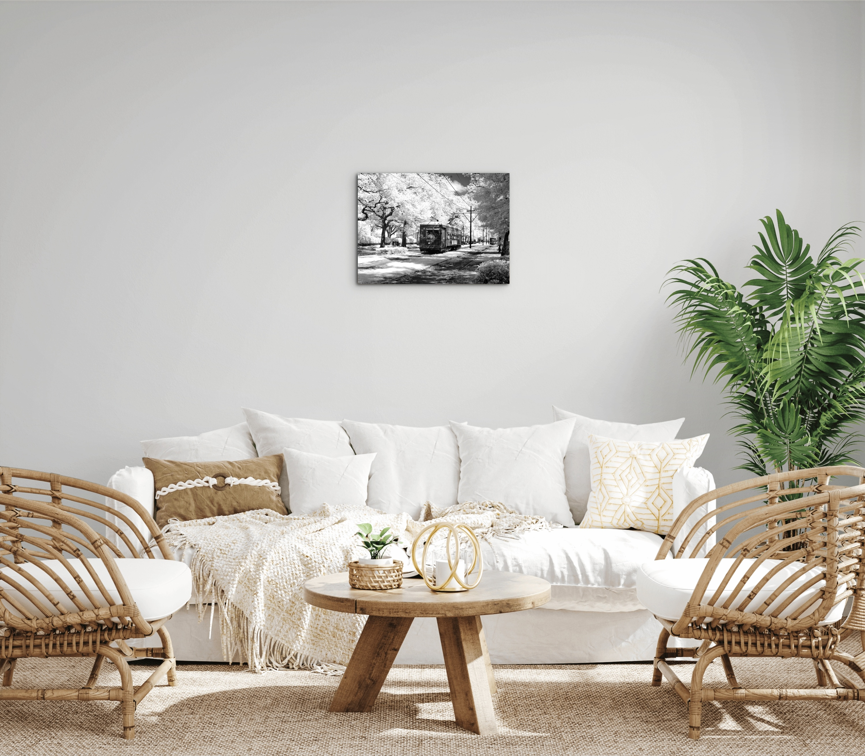 tramas93329-