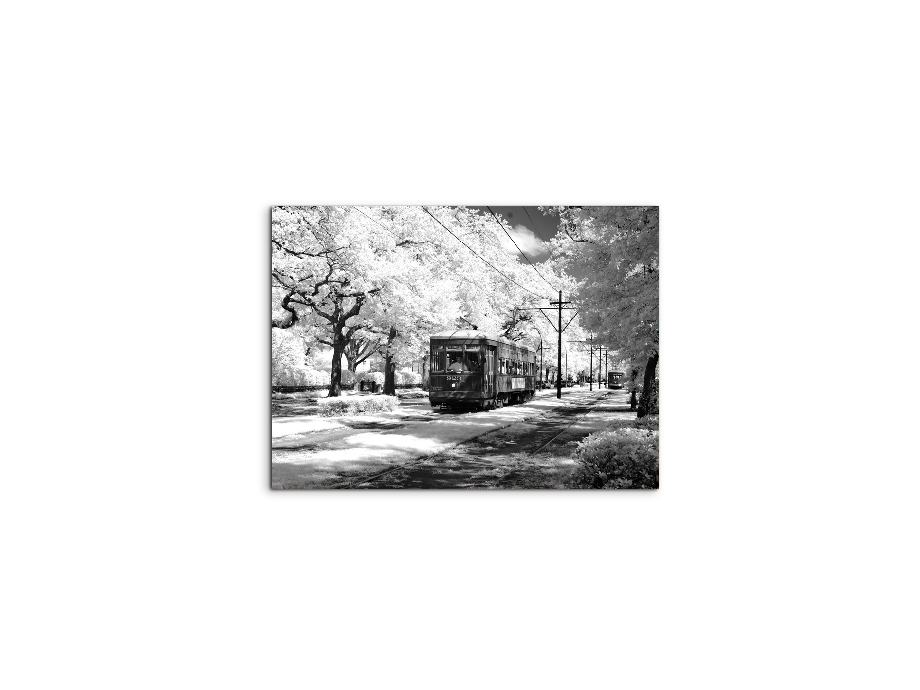 tramas93329-