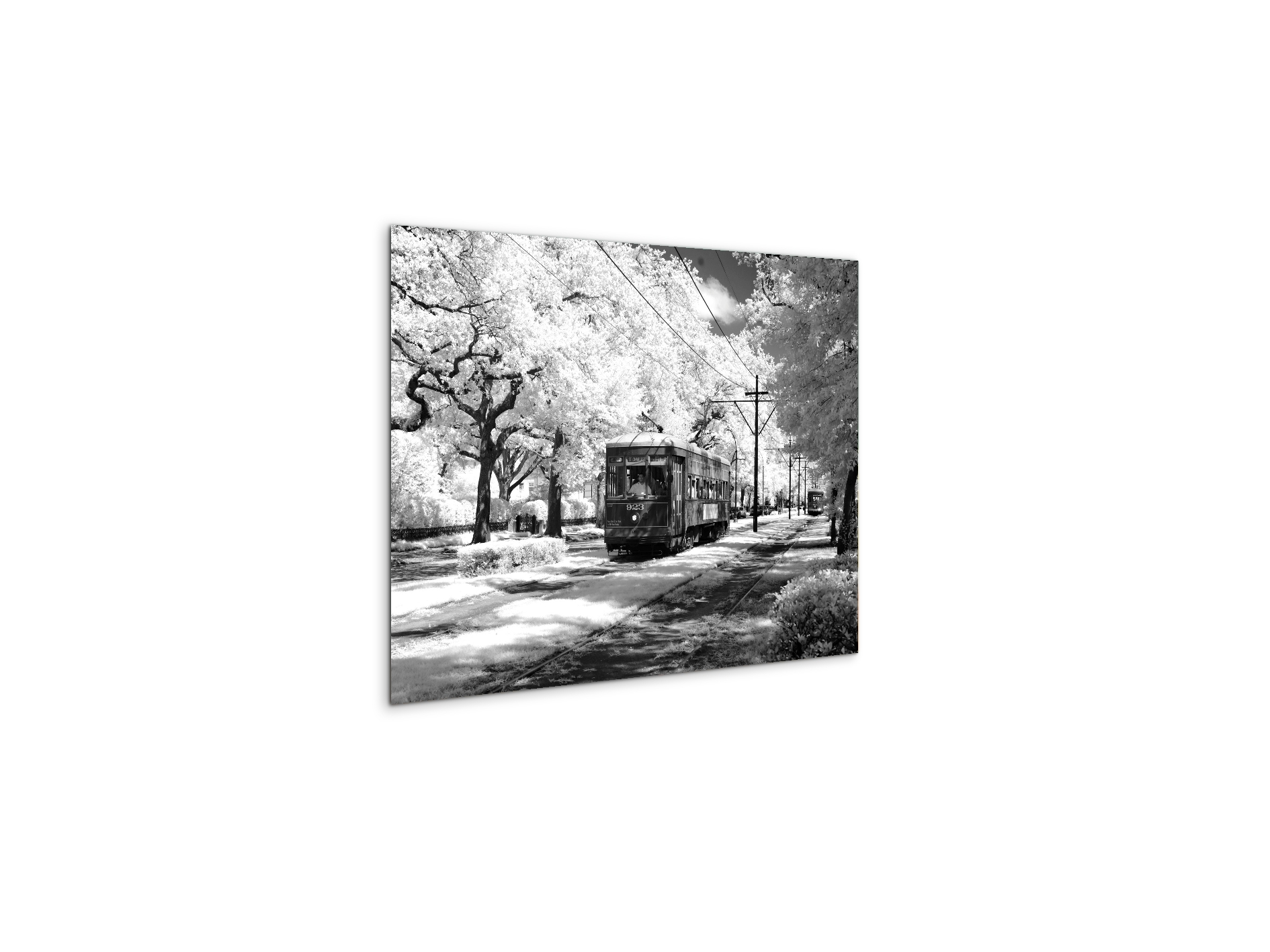 tramas93329-