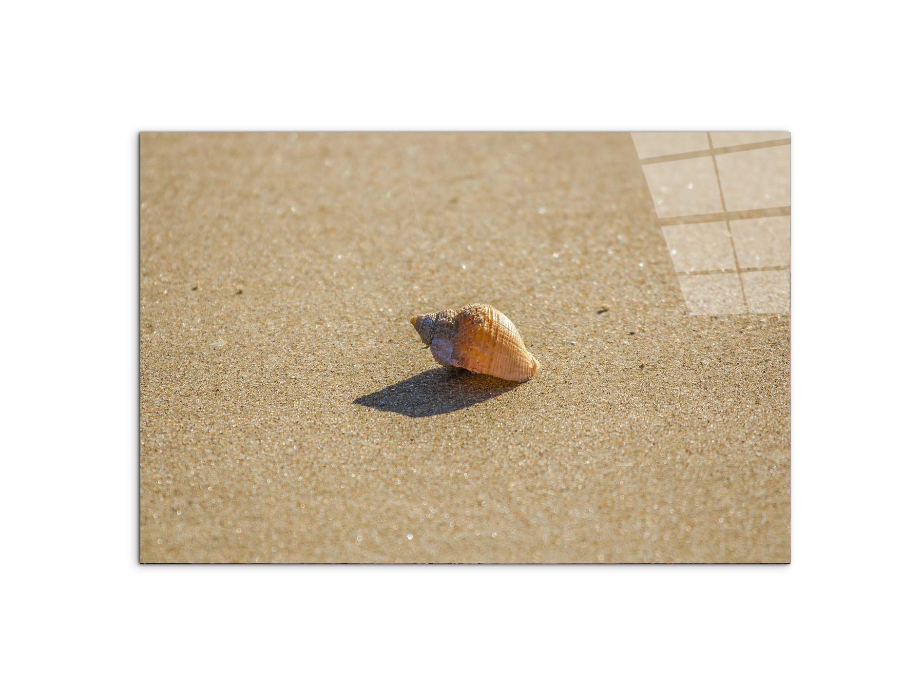 shellas93346-#materiale_CrystalArt/dimensioni_79,5x53