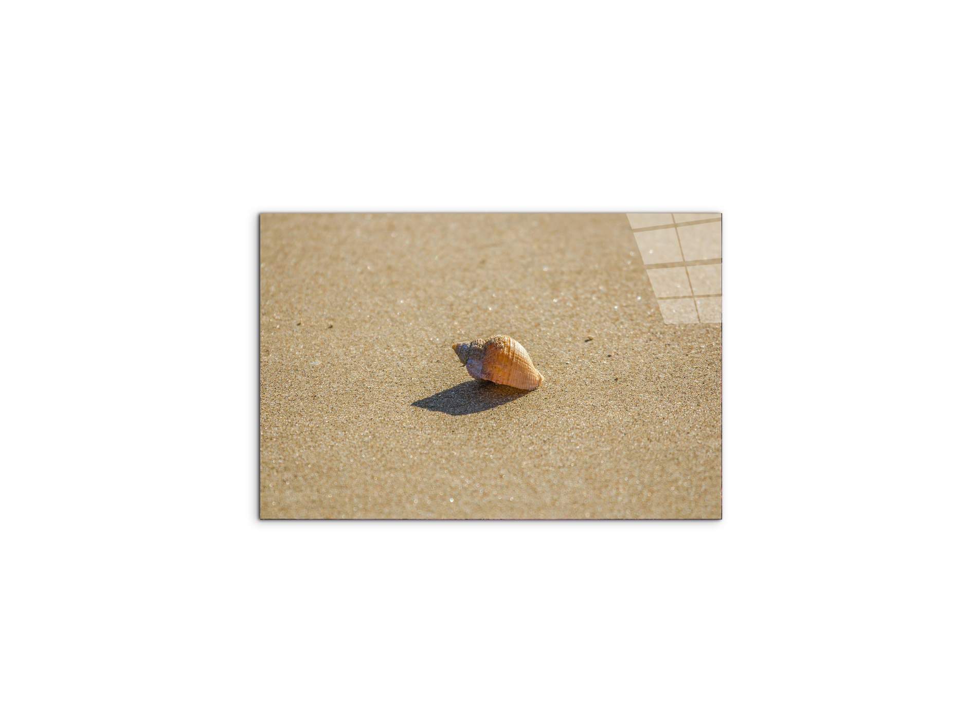 shellas93346-#materiale_CrystalArt/dimensioni_50x33,33