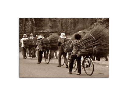 cambogiaas93364-