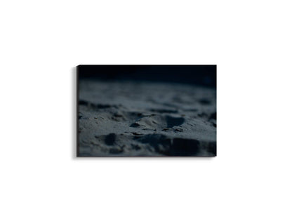 back-sandas93379-