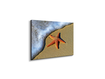starfish-on-the-beachas93400-