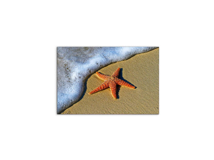 starfish-on-the-beachas93400-