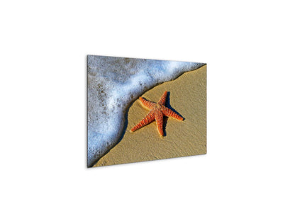 starfish-on-the-beachas93400-
