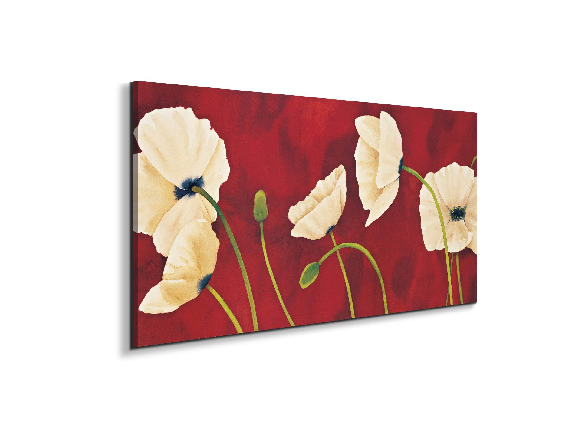 red-poppies-viec02038-
