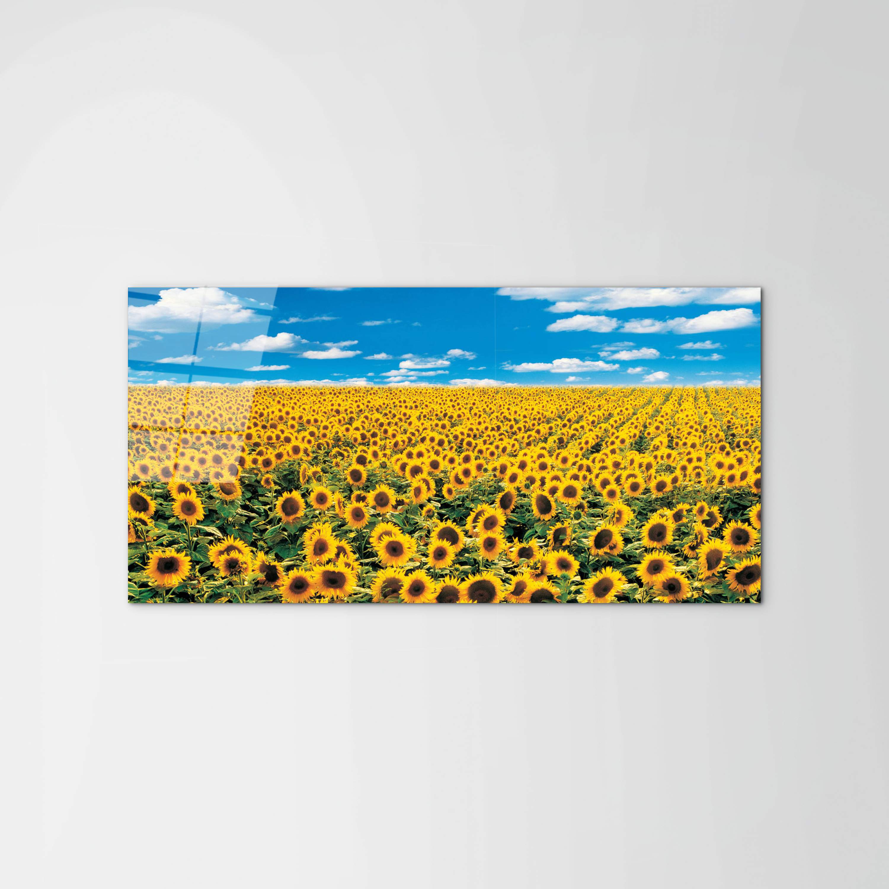 sunflowerec14546-#materiale_CrystalArt/dimensioni_100x50