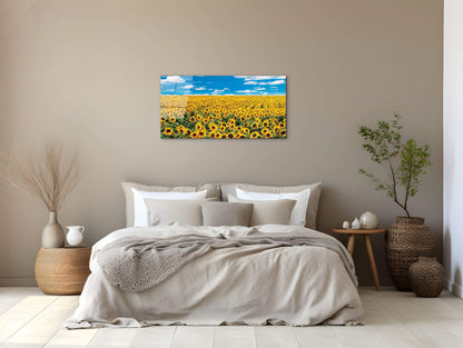 sunflowerec14546-