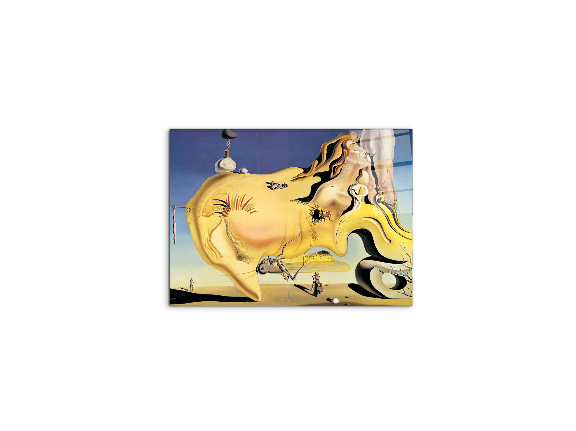 homage-to-salvador-the-great-masturbatorec15134-#materiale_CrystalArt/dimensioni_50x37,42
