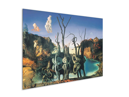 homage-to-salvadorec15135-