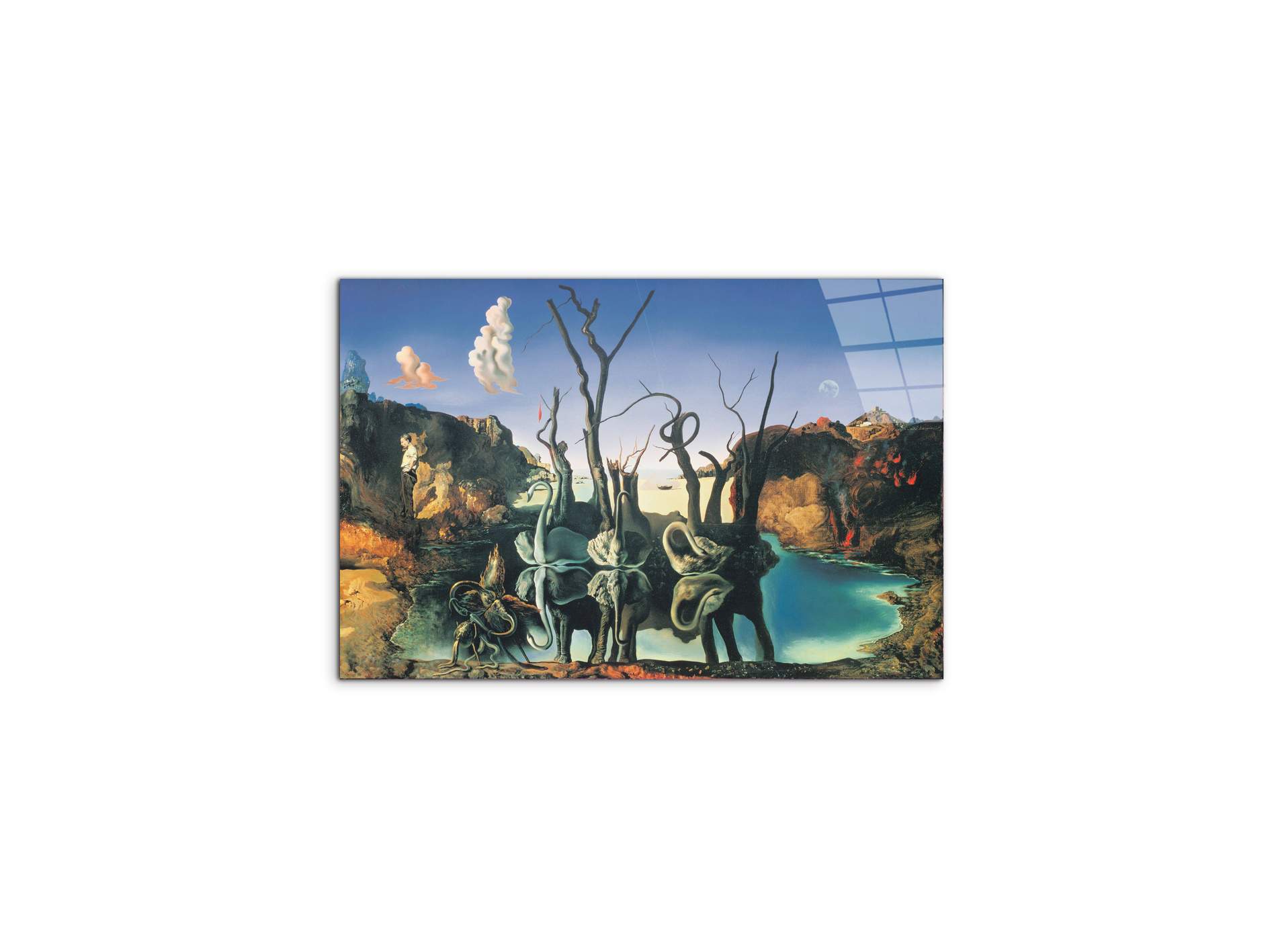 homage-to-salvadorec15135-#materiale_CrystalArt/dimensioni_50x33,33