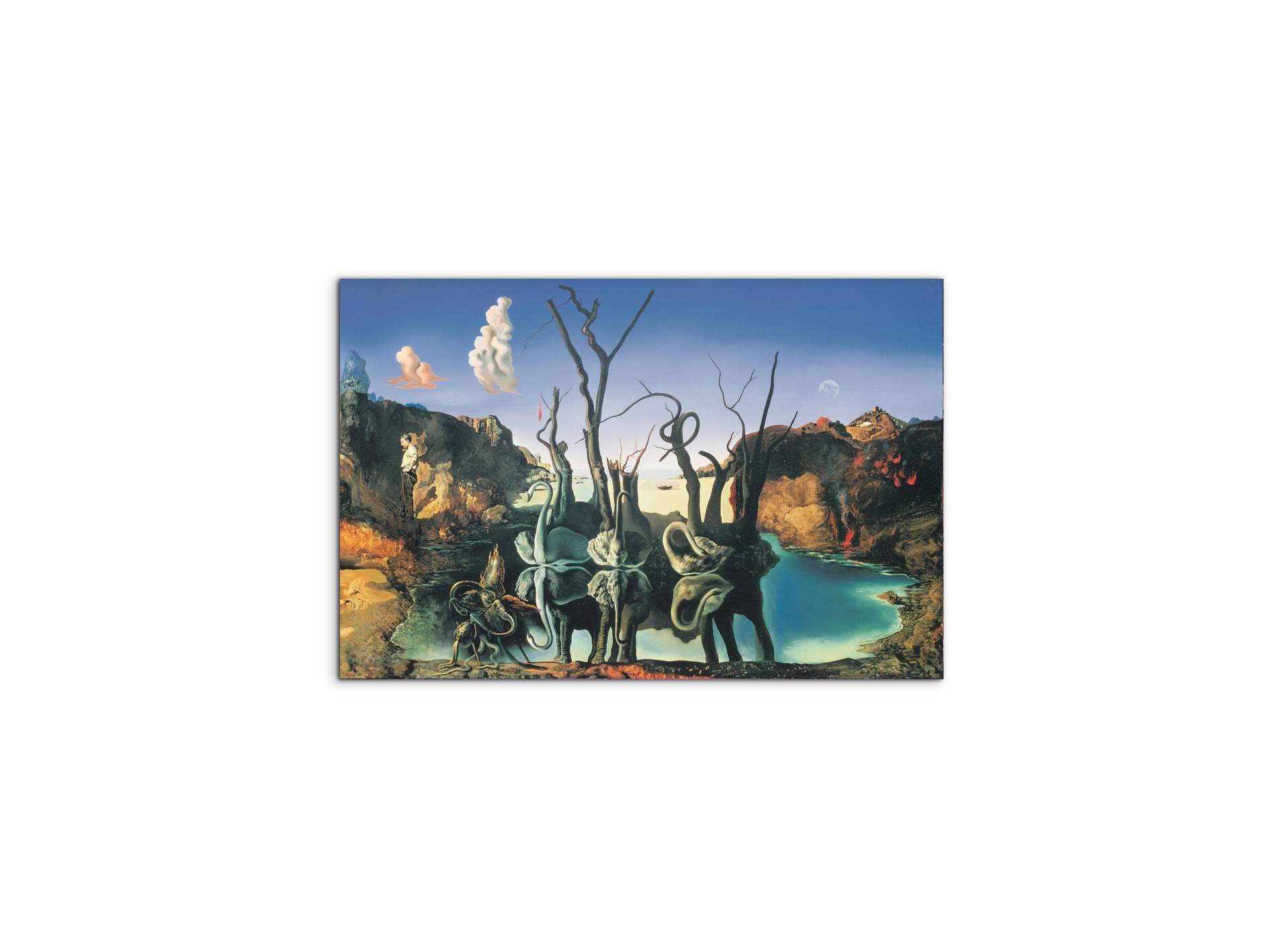 homage-to-salvadorec15135-