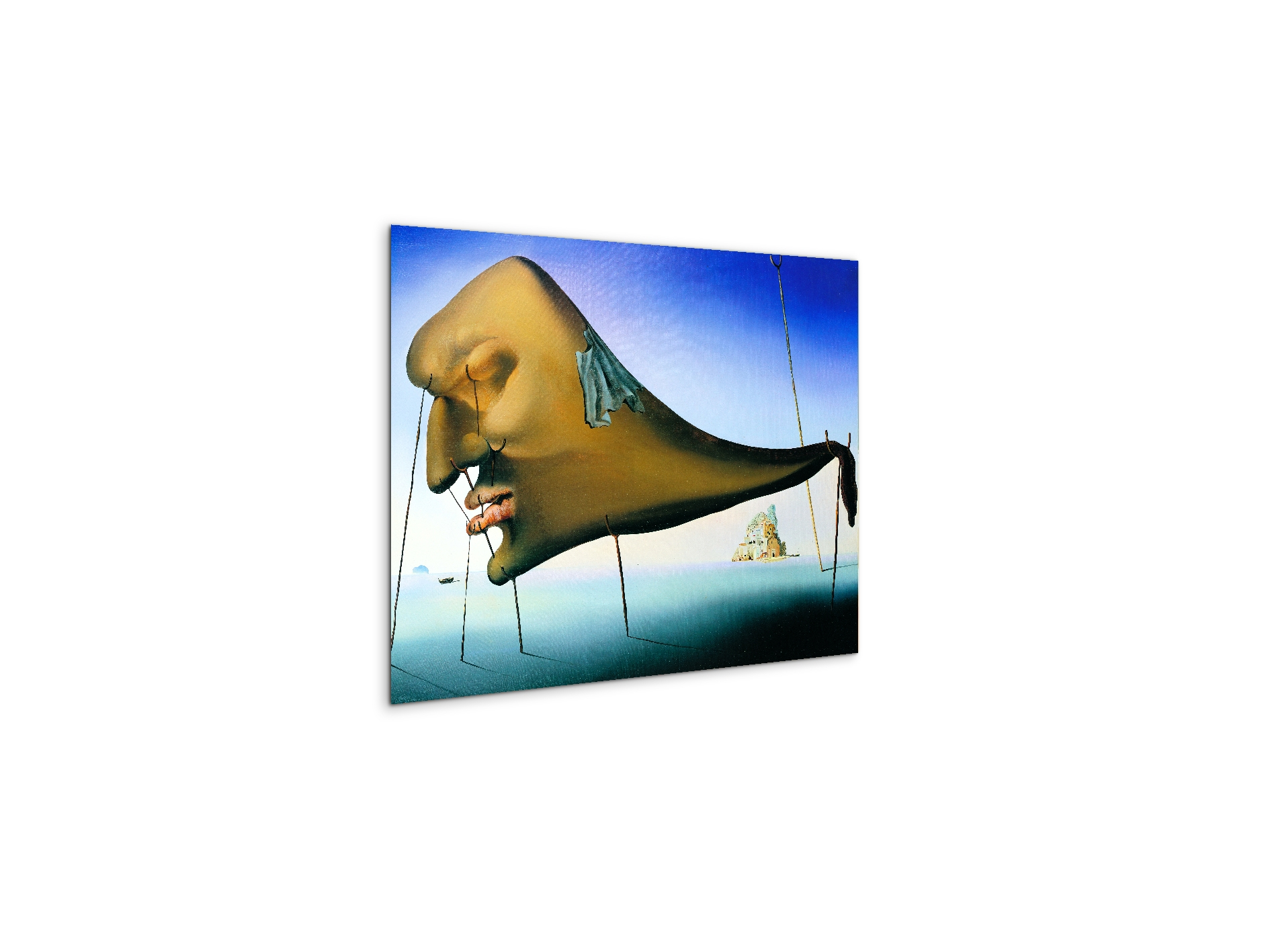 homage-to-salvador-the-sleep-1937ec15136-