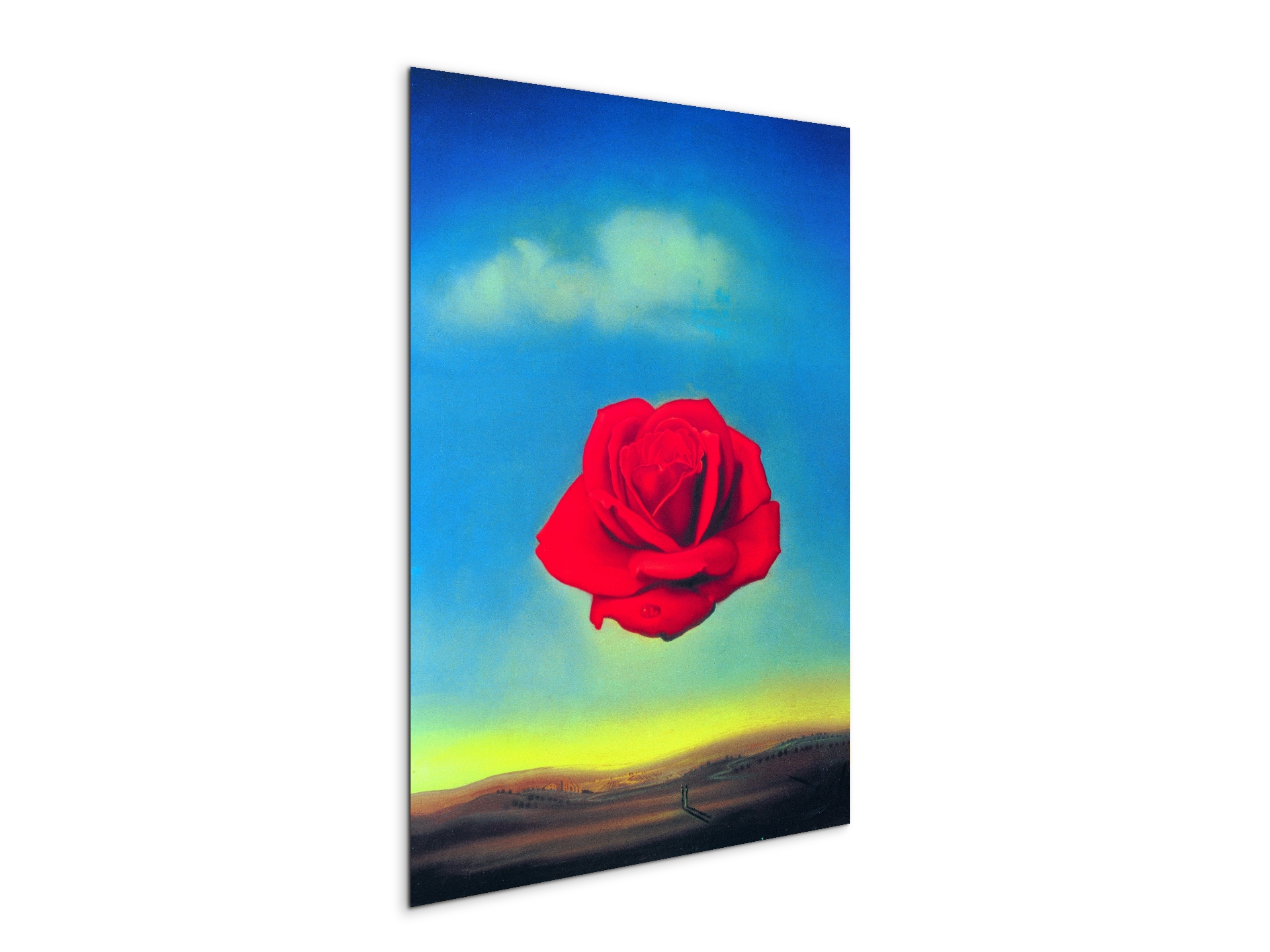 homage-to-salvador-thoughtful-rose-1958ec15144-