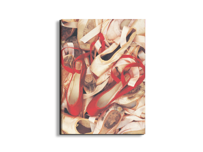 dancers-shoesec15542-