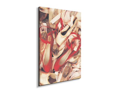 dancers-shoesec15542-