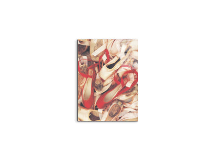 dancers-shoesec15542-