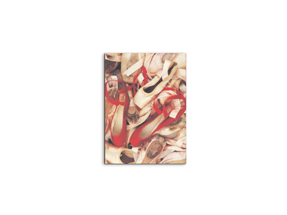 dancers-shoesec15542-