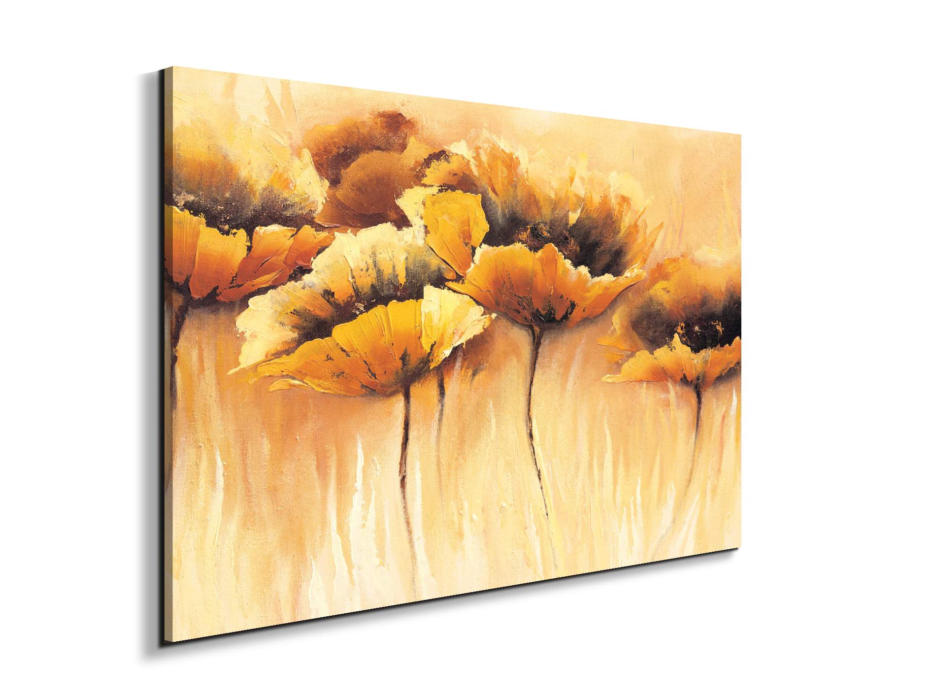 yellow-poppiesec15673-