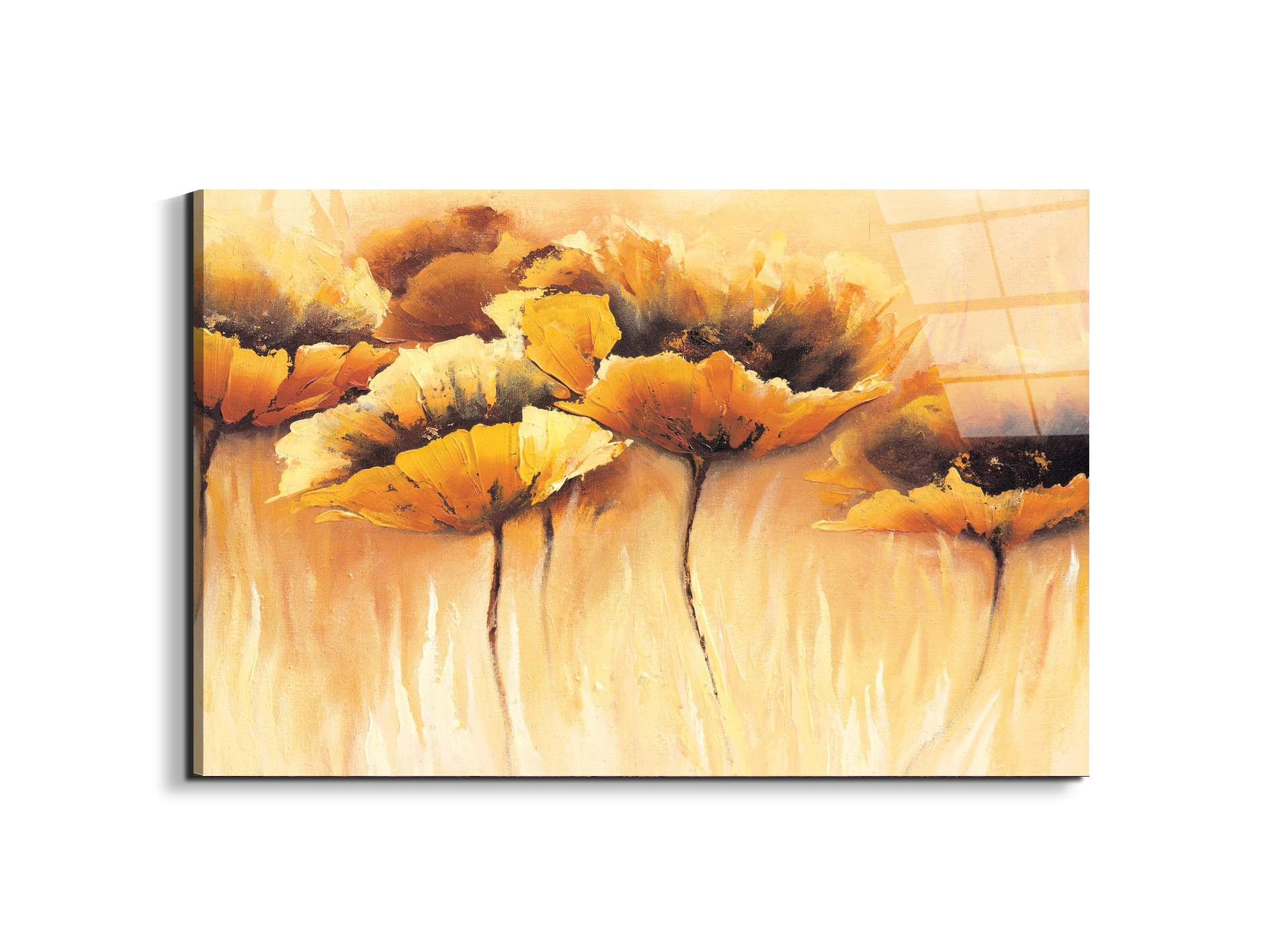 yellow-poppiesec15673-
