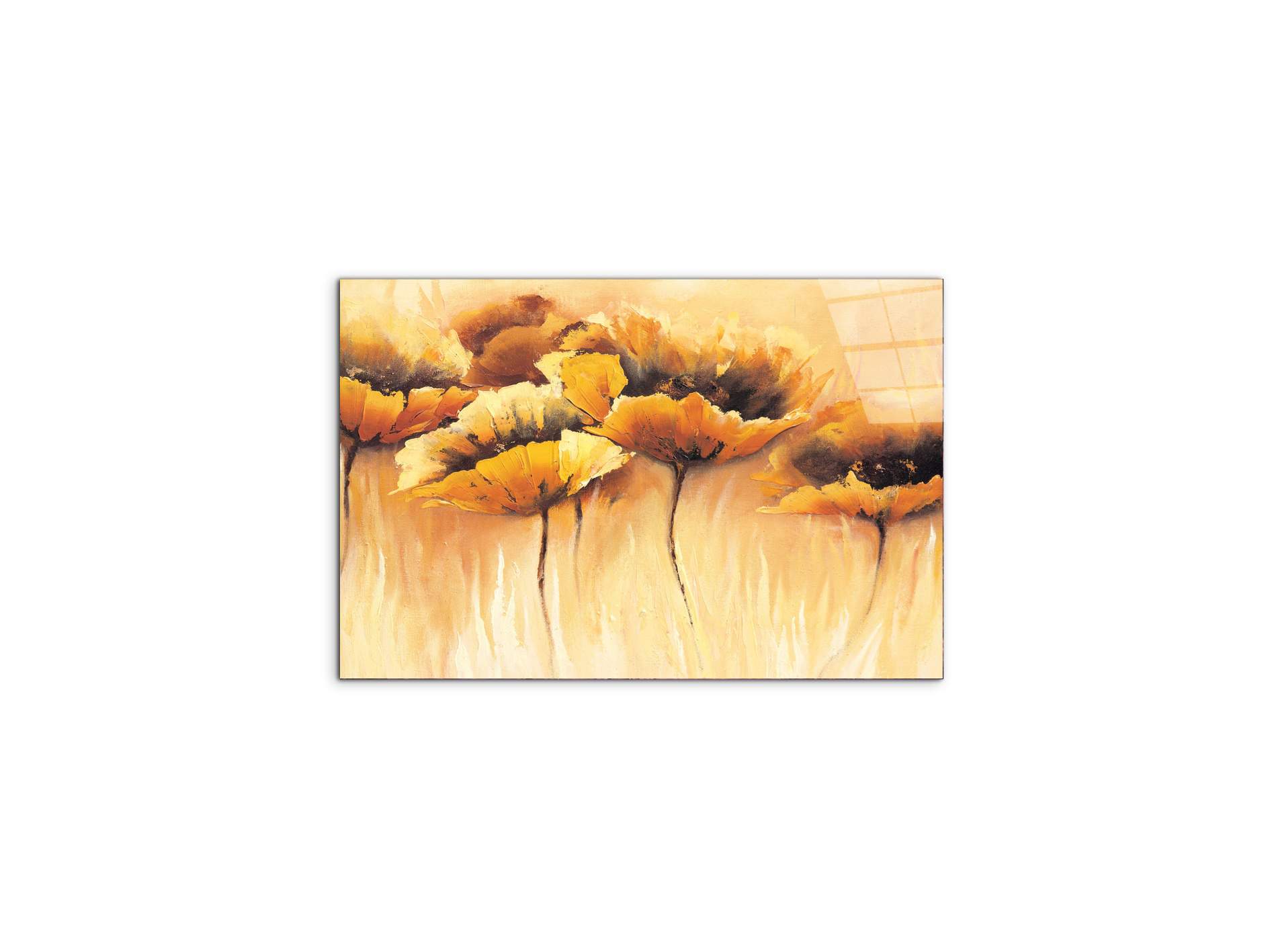 yellow-poppiesec15673-