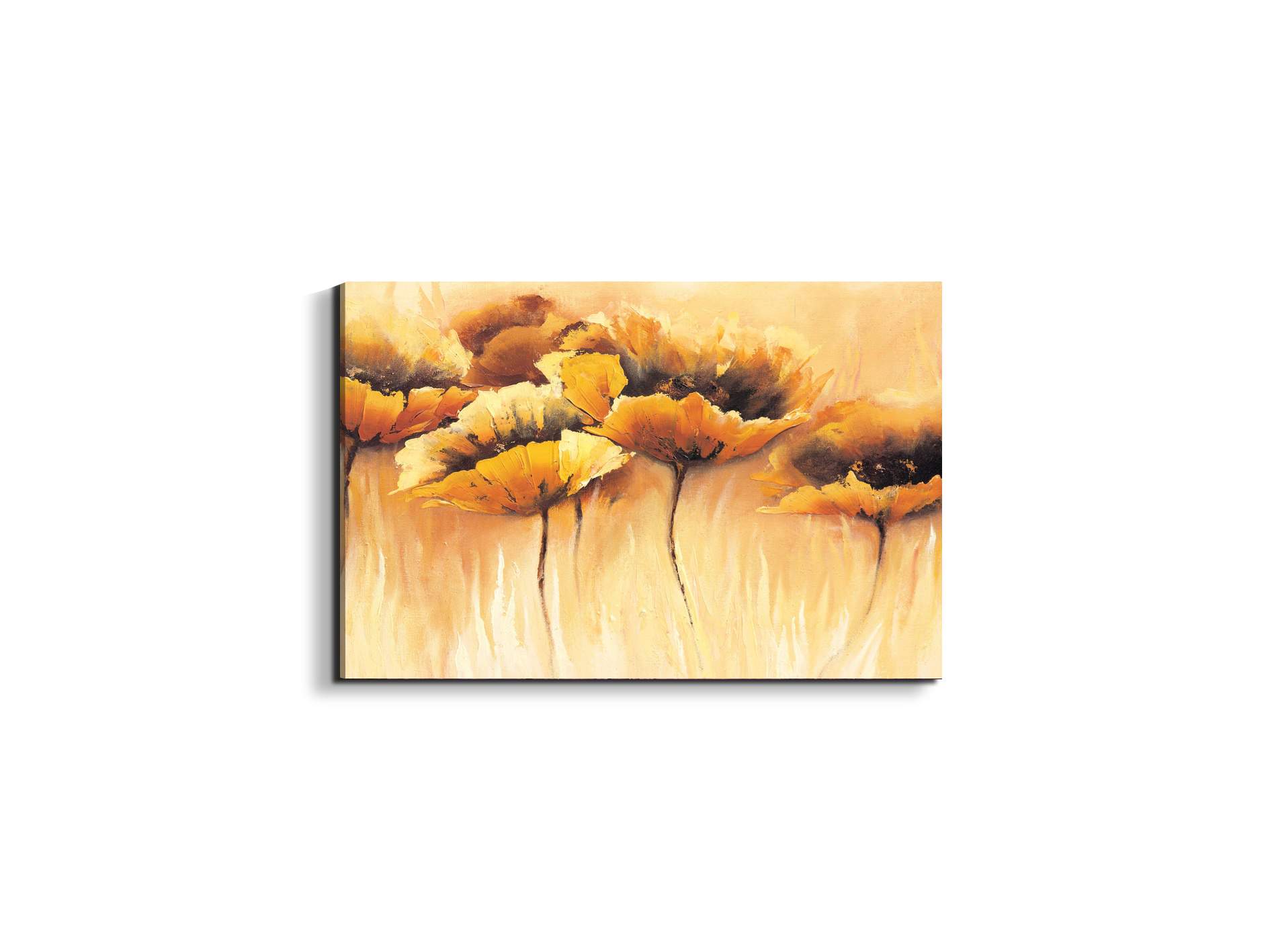 yellow-poppiesec15673-