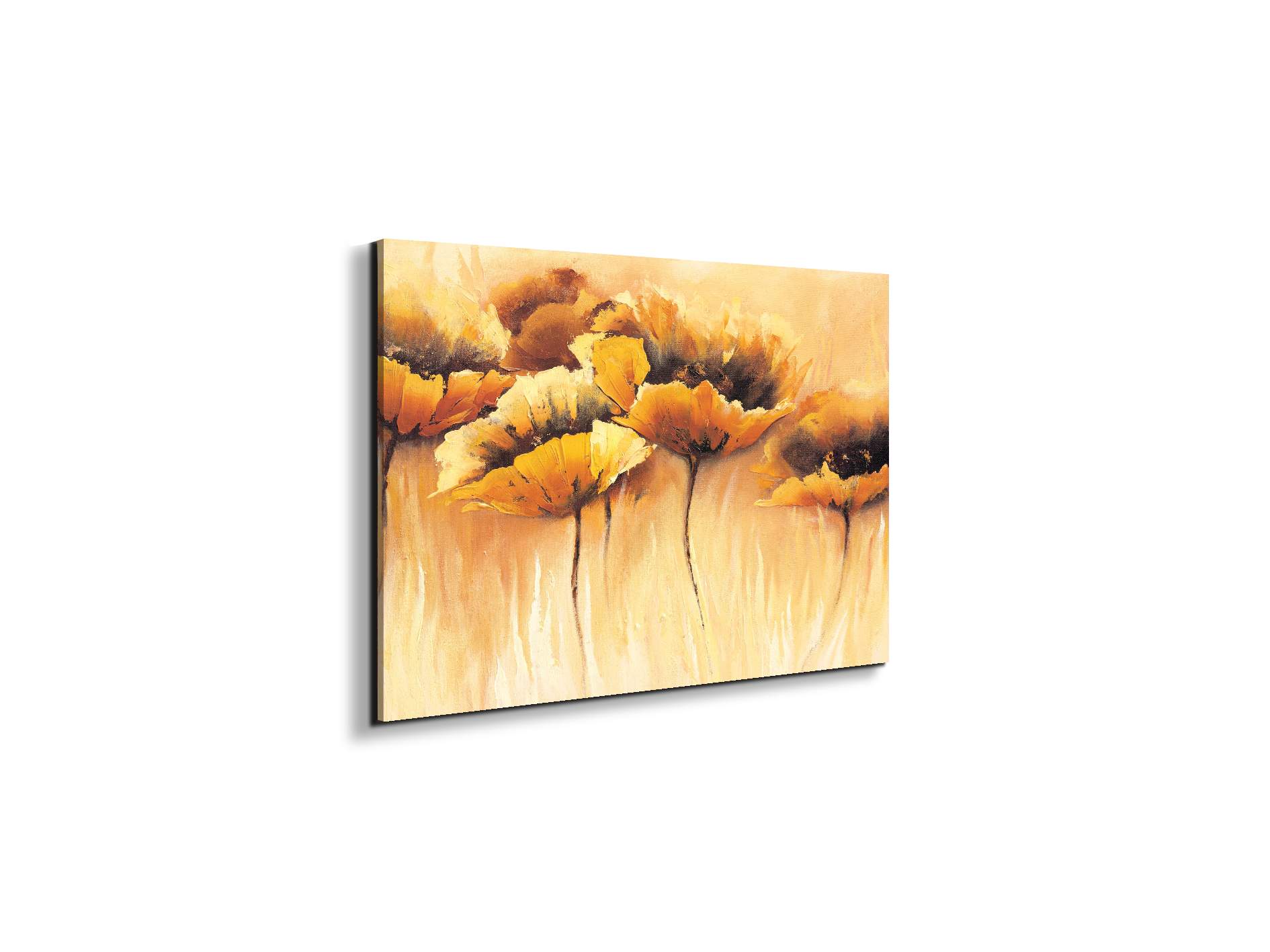 yellow-poppiesec15673-