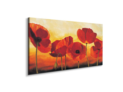 red-poppiesec16041-