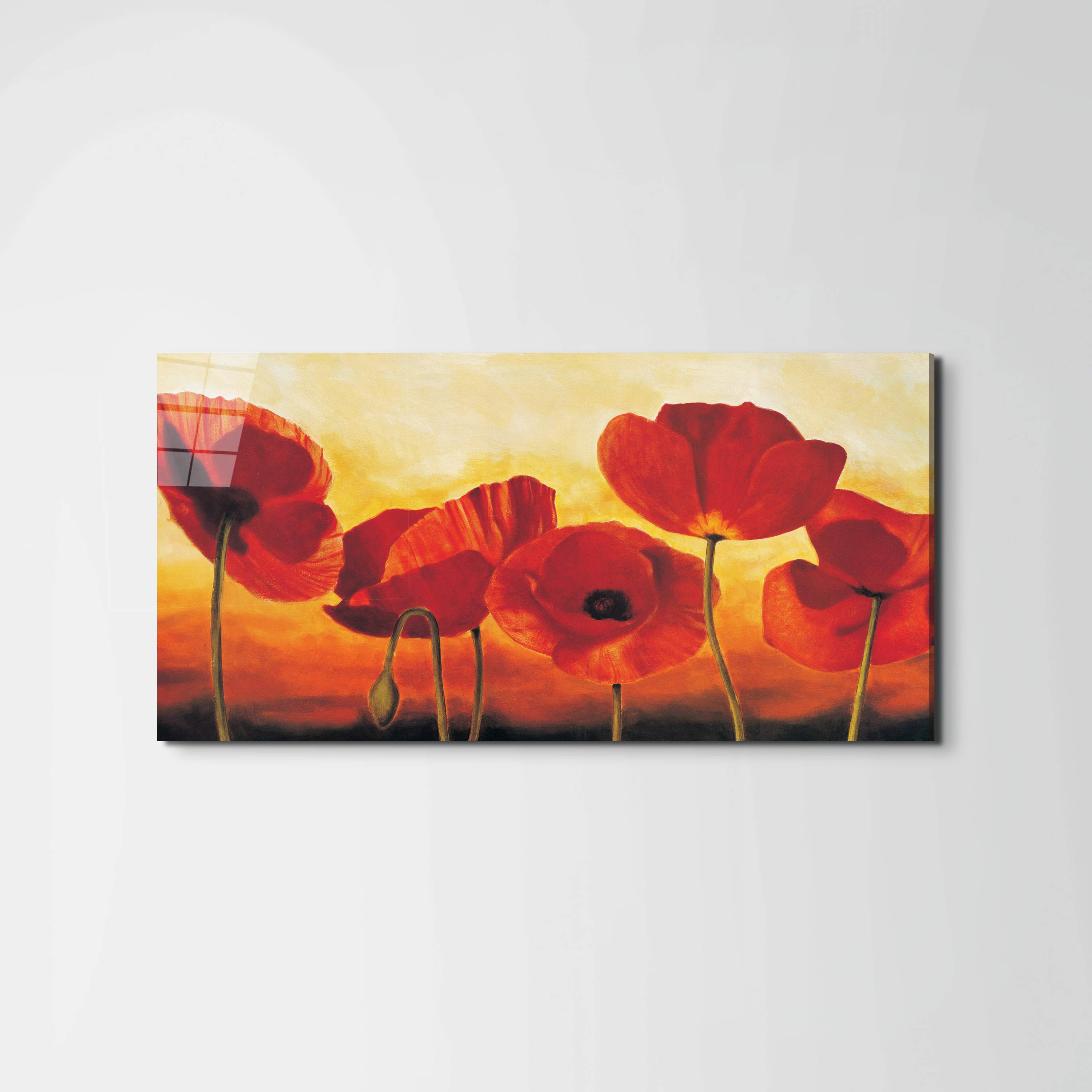 red-poppiesec16041-