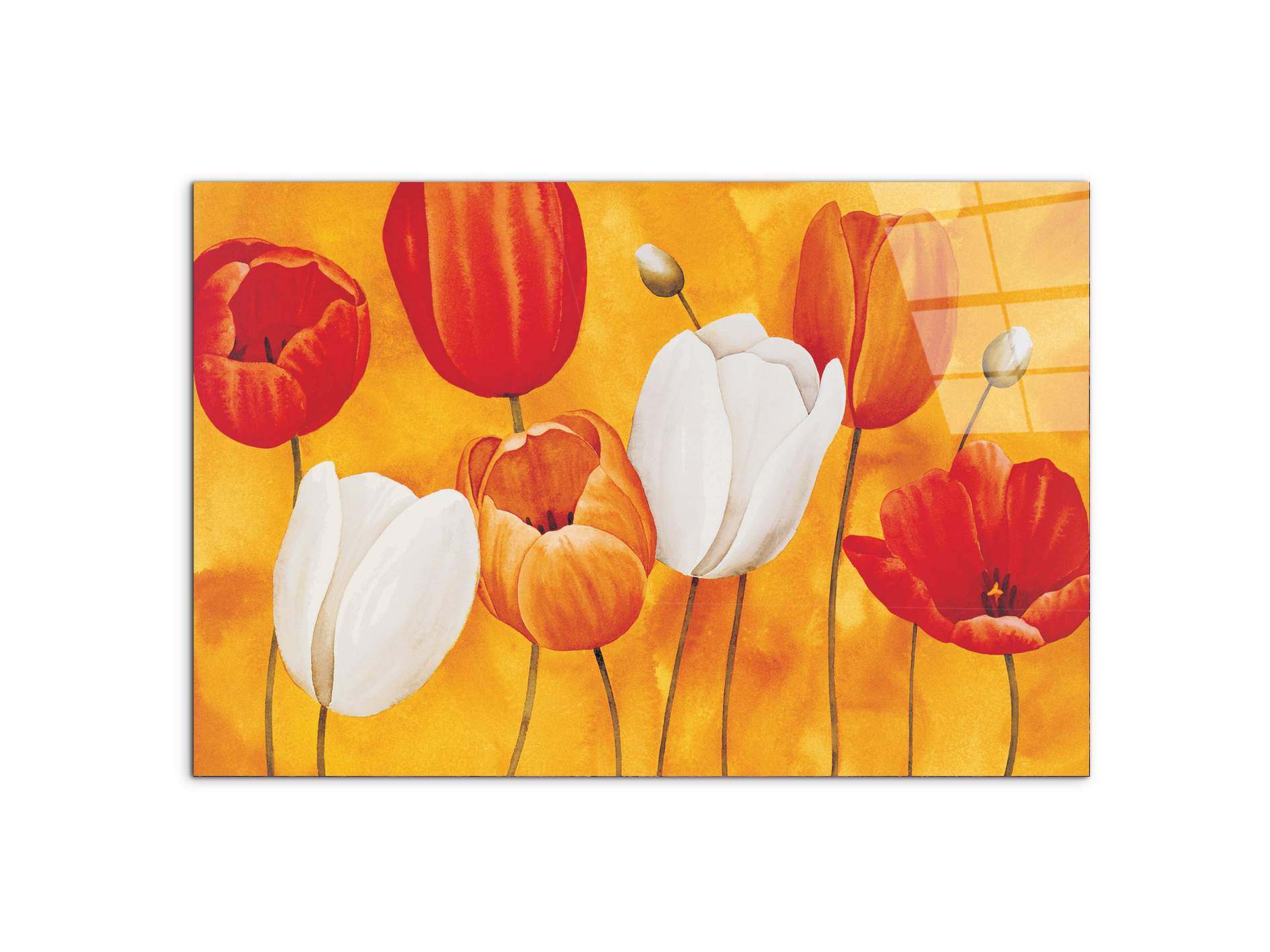 tulips-orangeec16450-#materiale_CrystalArt/dimensioni_79,5x53