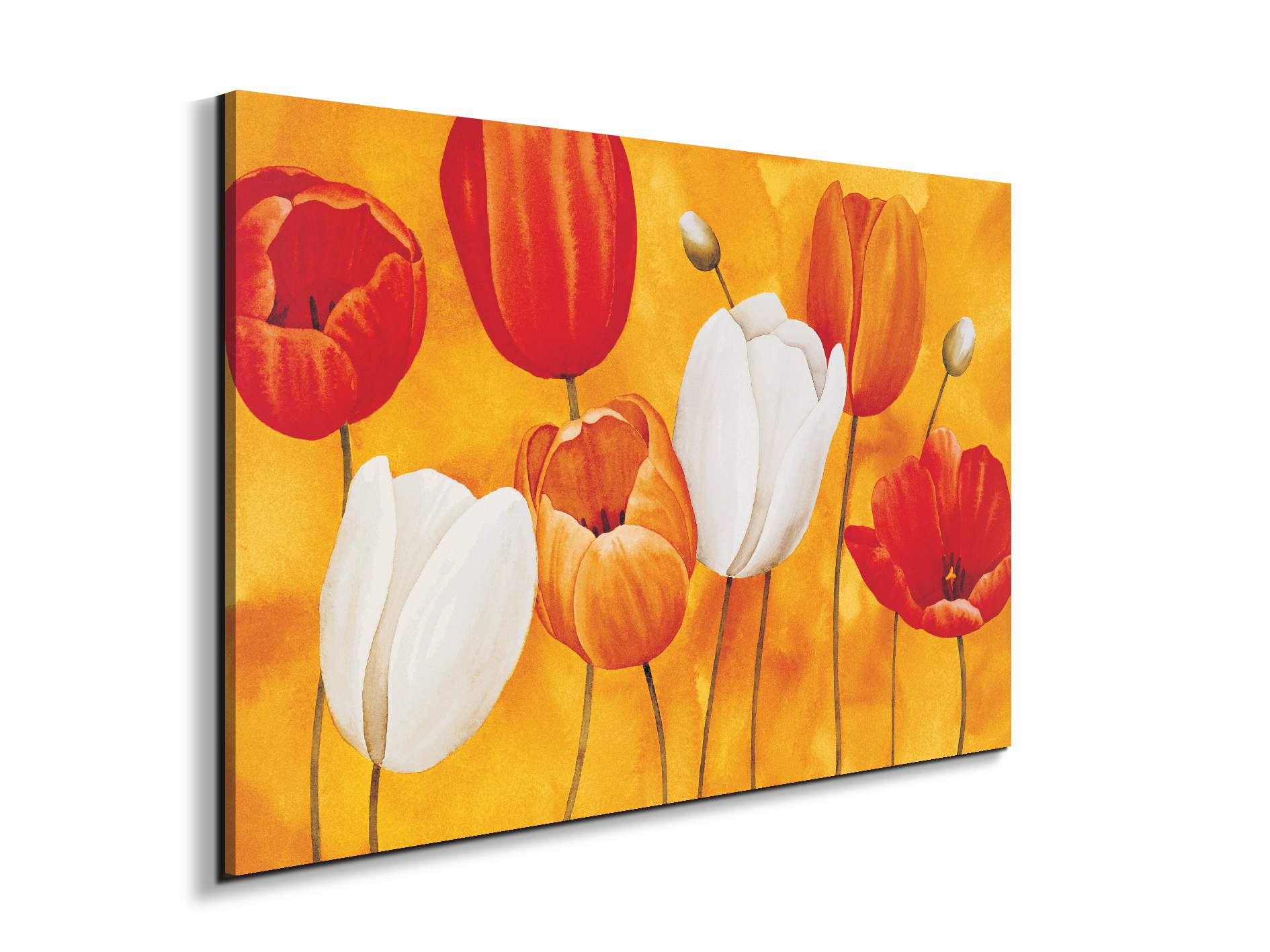 tulips-orangeec16450-