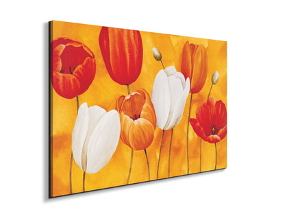 tulips-orangeec16450-