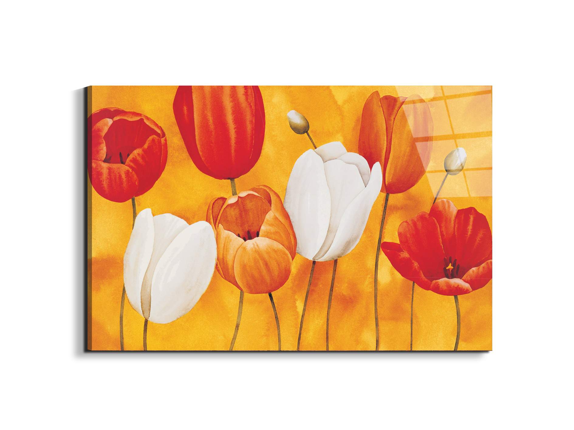 tulips-orangeec16450-