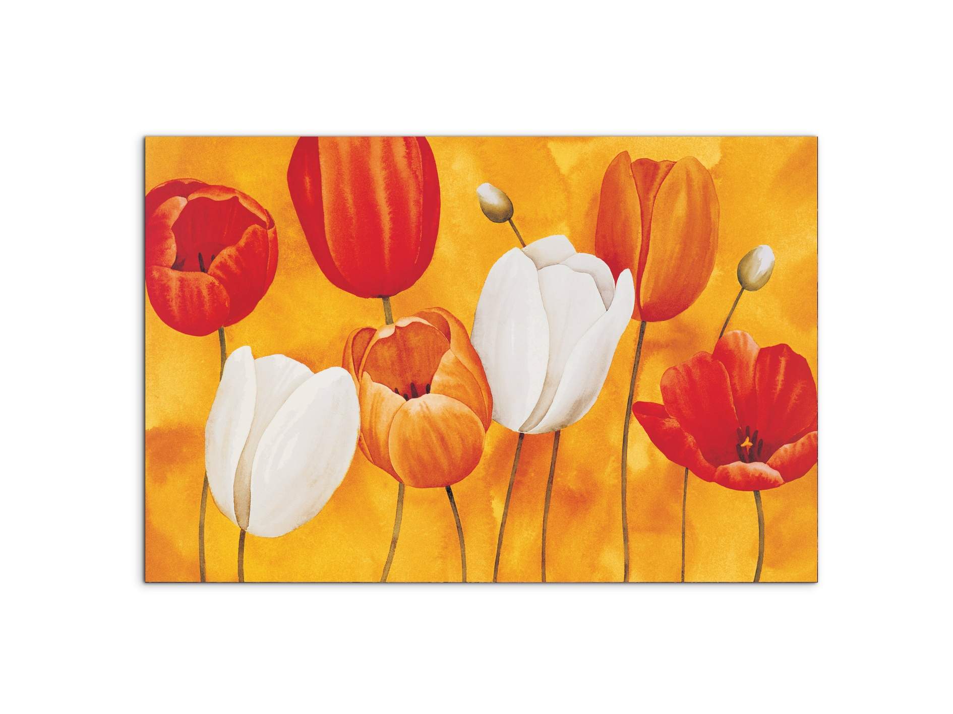 tulips-orangeec16450-