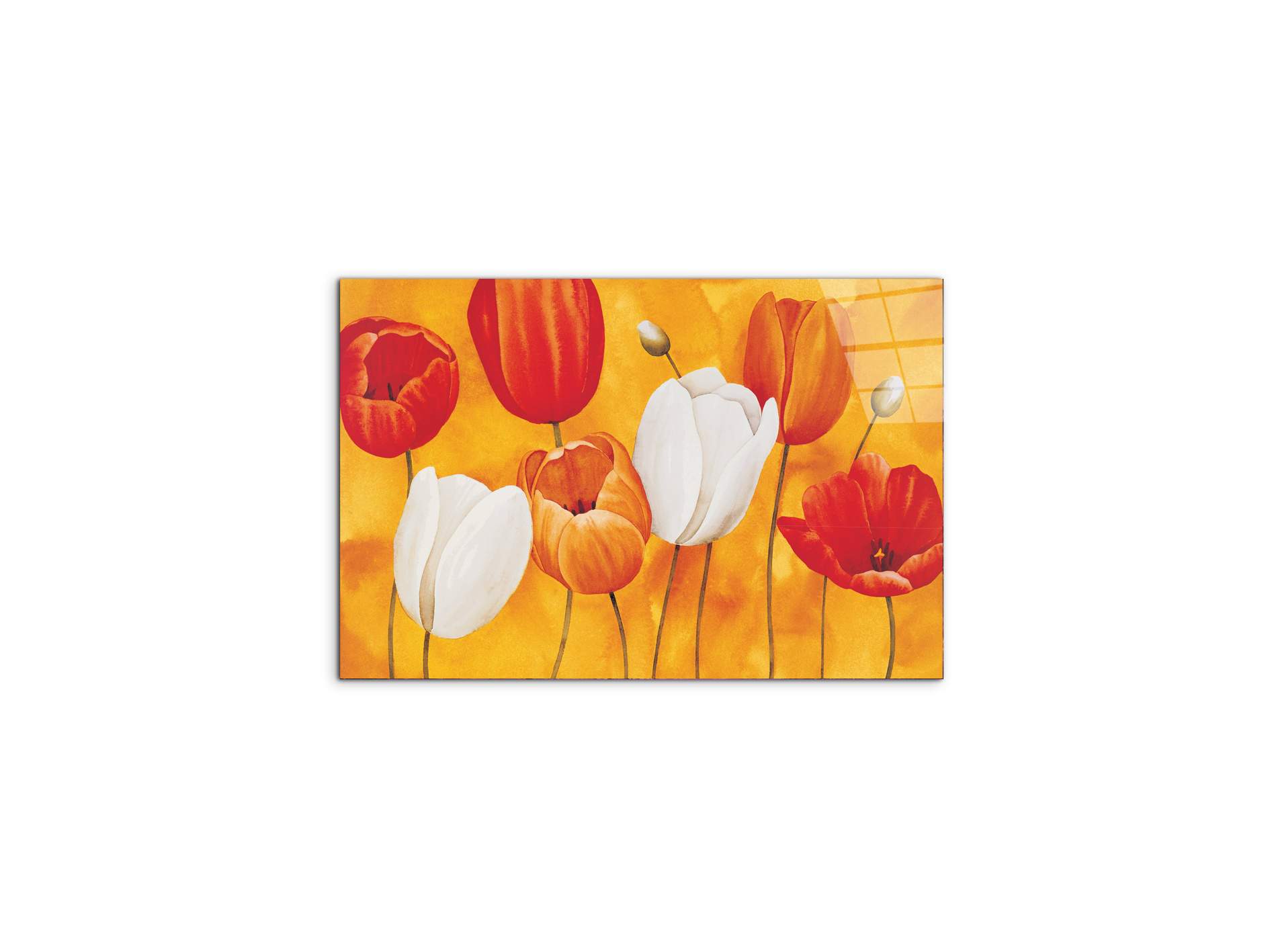 tulips-orangeec16450-#materiale_CrystalArt/dimensioni_50x33,33