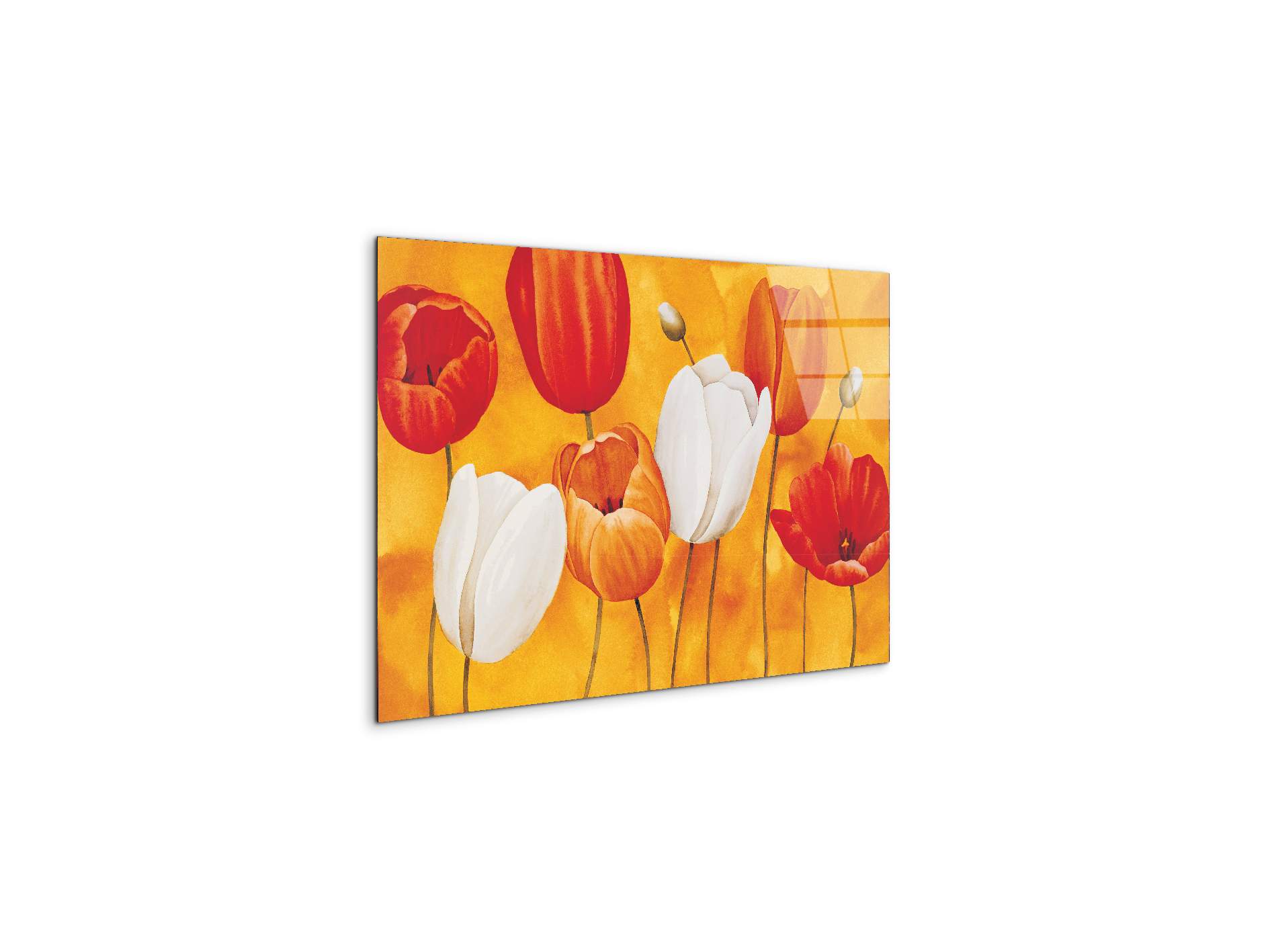 tulips-orangeec16450-