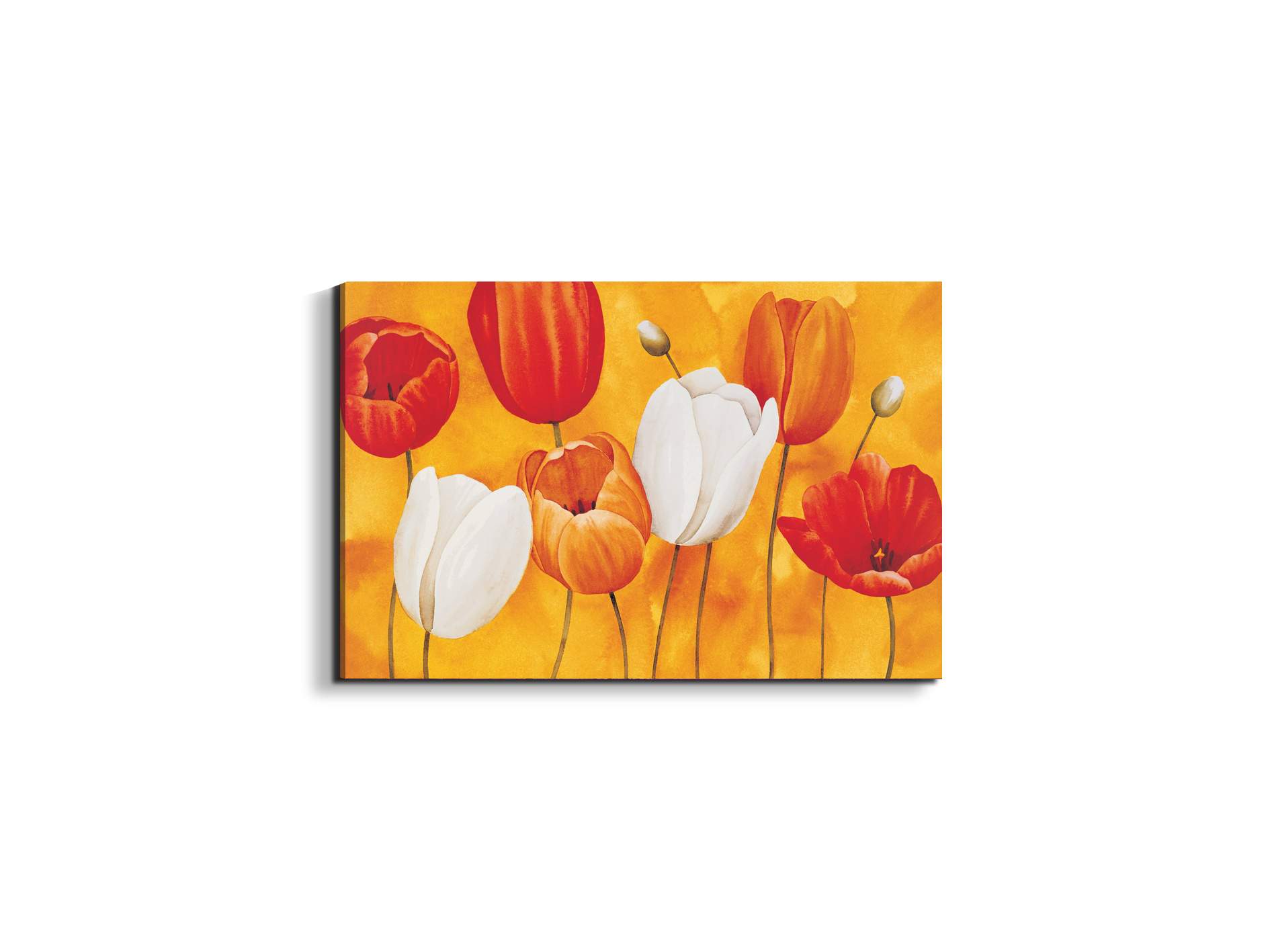 tulips-orangeec16450-
